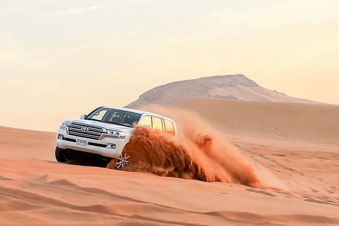 Dubai Desert Safari With Camel Ride, Horse Ride, Falcon Photography & Dinner - Good To Know