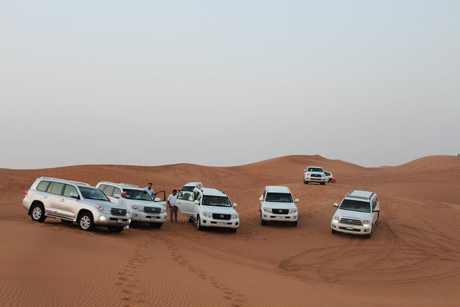 Dubai Desert Safari With Dune Bash, Camel Ride, BBQ and Shows - Good To Know