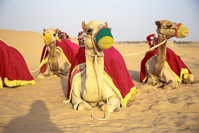 Dubai Desert Safari With Live Shows, Sand Skiing & Boarding, BBQ - Good To Know