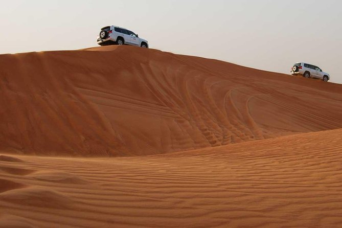 Dubai : Dune Bashing Tour Private Basis - Good To Know
