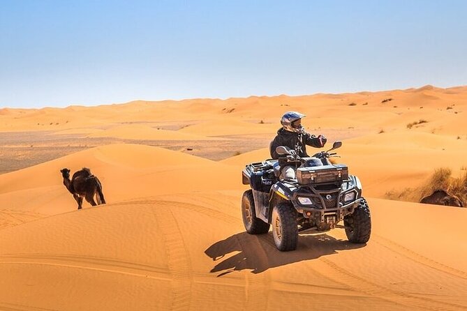 Dubai Evening Desert Safari With Quad Bike, Dinner and Show - Good To Know