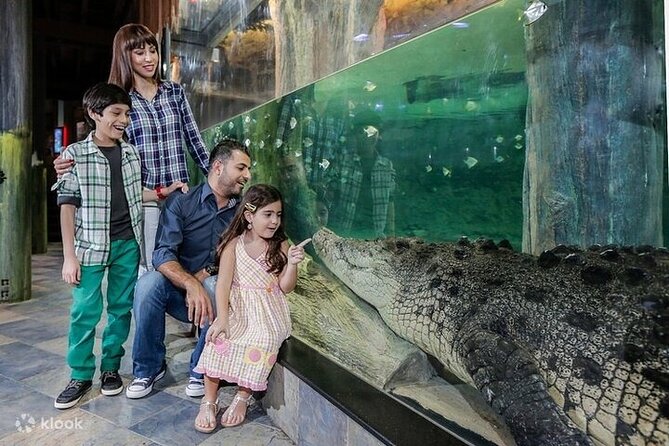 Dubai Mall Aquarium and Underwater Zoo Tickets With Transfers