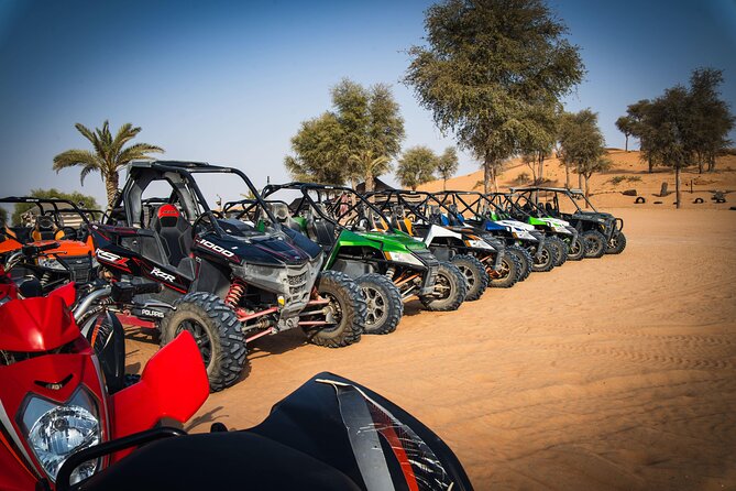 Dubai Private Buggy Ride With Dinner and Live Shows - Good To Know