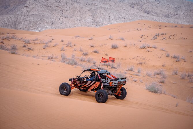 Dubai Private Luxury Dinner With Camel Trek - Good To Know