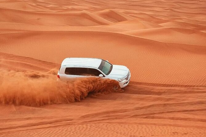 Dubai Red Dunes Safari With Live Show and BBQ Dinner - Good To Know