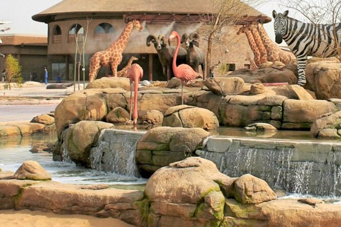 Dubai Safari Park - Good To Know