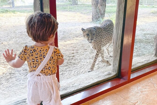 Dubai Safari Park Admission Only - Good To Know