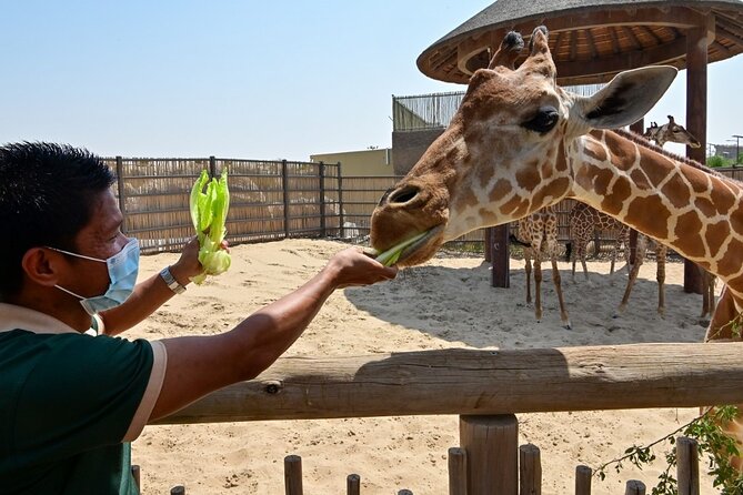 Dubai Safari Park Ticket - Good To Know