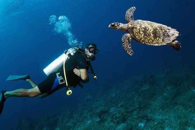 Dubai Scuba Diving Lesson With PADI Instructor and Transfers - Scuba Diving Experience Details
