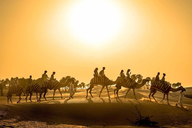 Dubai Sunset Camel Trekking With Shows & BBQ Dinner - Good To Know