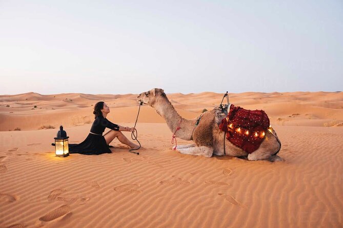 Dubai:Red Dunes , Sandsurf, Camels, Stargazing & 5* BBQ - Good To Know