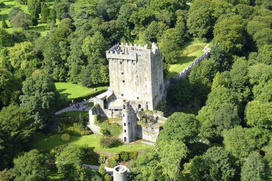 Dublin: Blarney Castle Small Group Tour - Good To Know