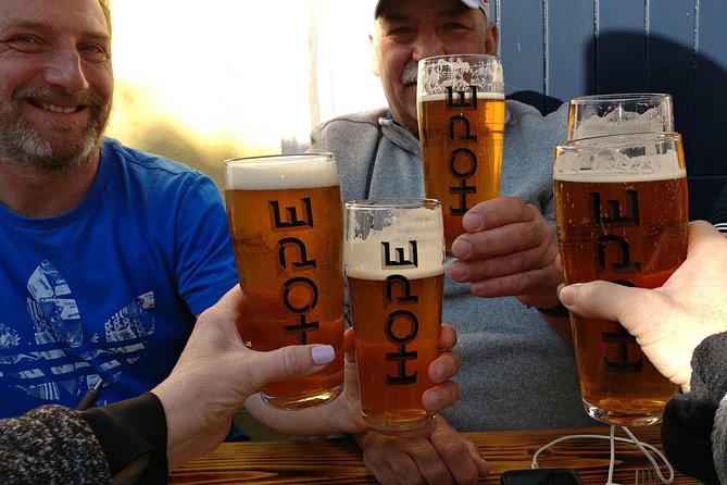 Dublin Coastal Craft Beer and Seafood Tour With Local Guide