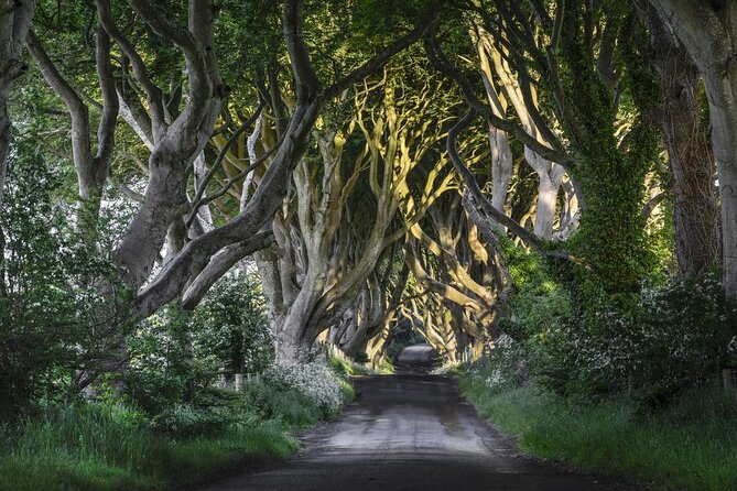 Dublin: Giants Causeway, Dark Hedges, Dunluce and Belfast Titanic Entrance Fee - Good To Know