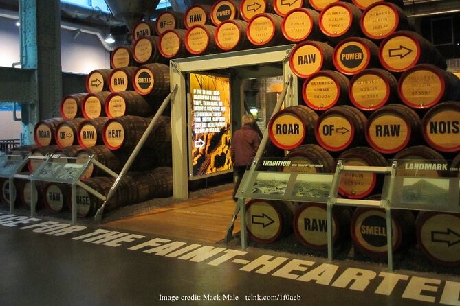 Dublin in a Day: Book of Kells & Guinness Storehouse Private Tour - Reviews and Ratings