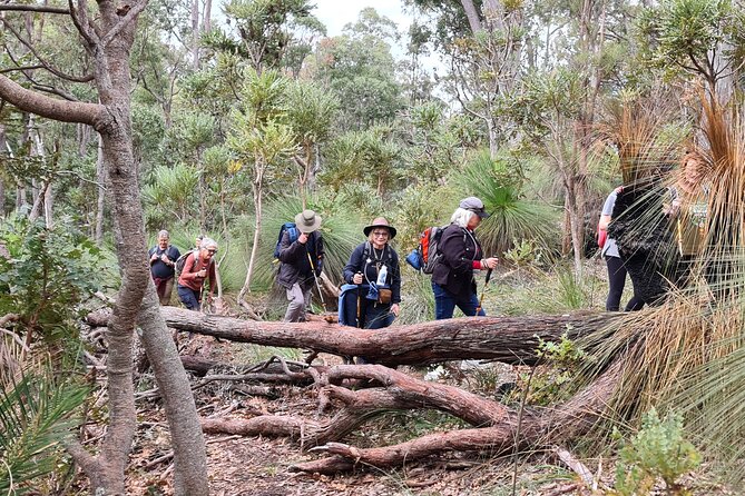 Dwellingup Trains, Trails & Woodfired Delights Full Day Tour - Good To Know