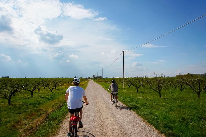 E-Bike Adventure Among Medieval Castles and Old Villages