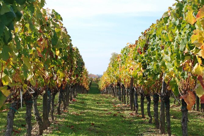 E-Bike Barcelona Coast and Vineyards With Wine Tasting (PRIVATE) - Good To Know