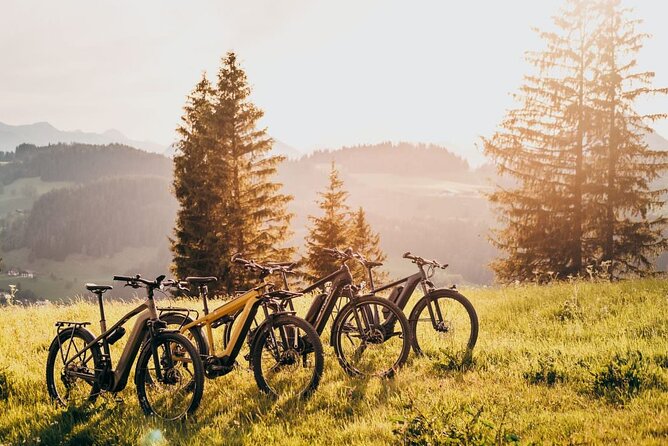E-Bike Day Trip With Lunch to Harrys Rock or Corfé Castle