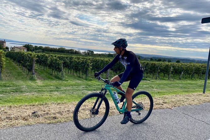 E-Bike Tour and Wine Tasting From Desenzano Inland
