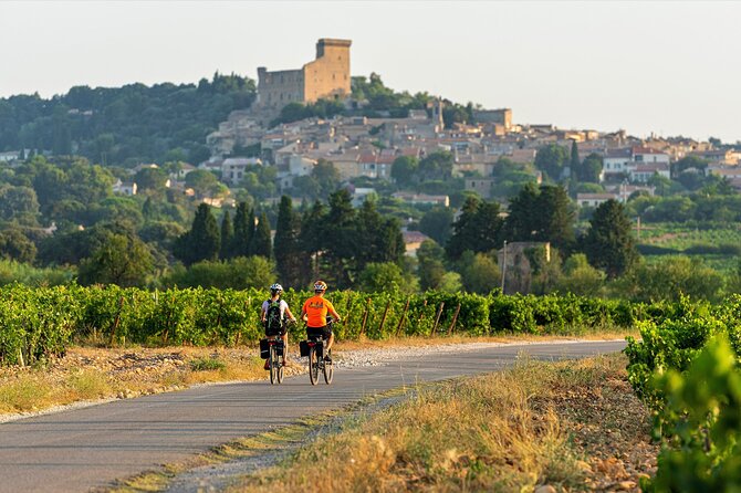 E-Bike Tour and Wine Tasting From Vaison La Romaine - Good To Know