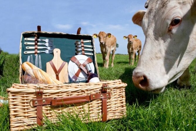 E-Bike Tour With Picnic in the Amsterdam Wetlands Small Group - Good To Know