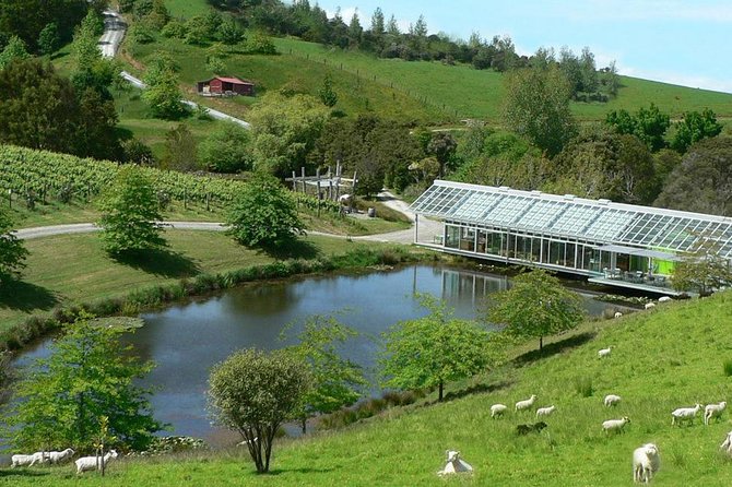 East Coast Matakana Wine Tasting Day Tour From Auckland