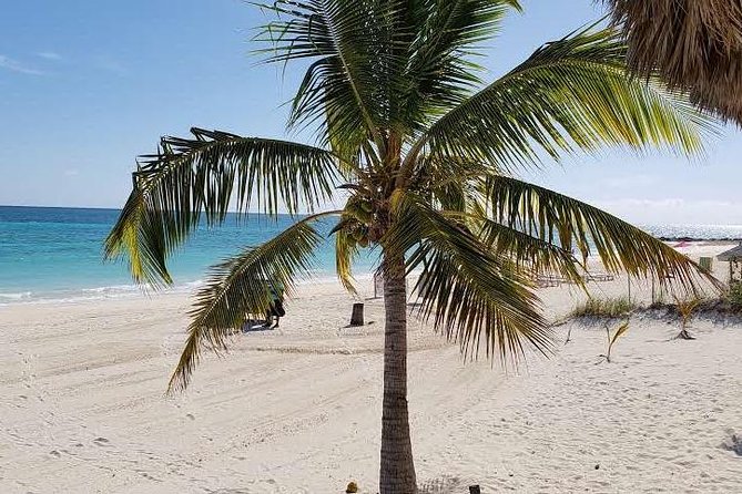 6 Best Tours In Freeport