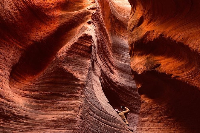 East Zion 2 Hour Slot Canyon Canyoneering UTV Tour - Good To Know