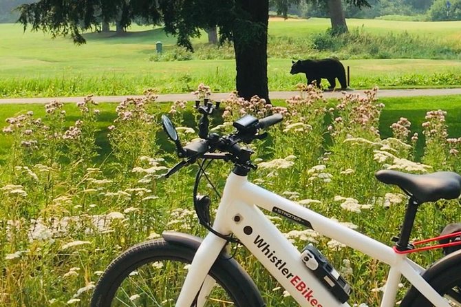 Ebike Adventure in Whistler - Good To Know
