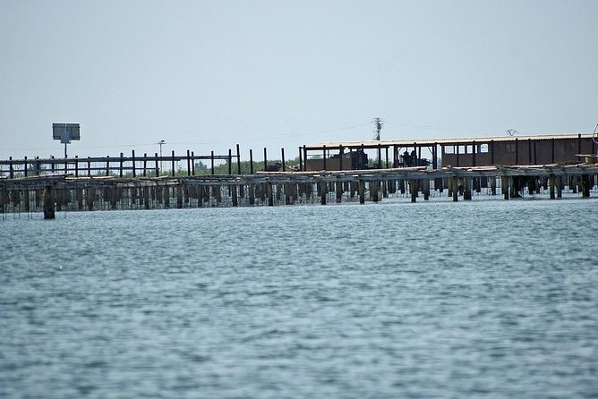 Ebro Delta Tour - Hotel Pick up From Salou/Tarragona