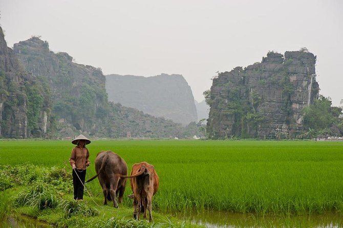 Eco Hoa Lu - Hang Mua Grotto - Trang an Boat Tour From Hanoi - Inclusions and Logistics