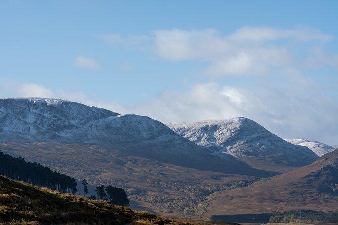 Edinburgh Day Hike in the Pentland Hills - Wildlife and Nature Encounters