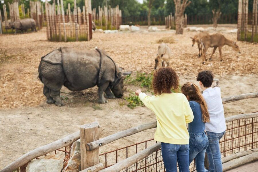 Eindhoven: Dierenrijk Zoo Entry Ticket