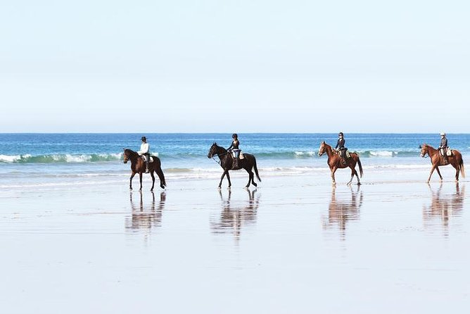 El Palmar Beach Horse Riding  – Andalucia