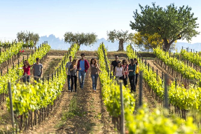 El Penedès Hike & Wine. Premium Small Group Tour From Barcelona - Good To Know