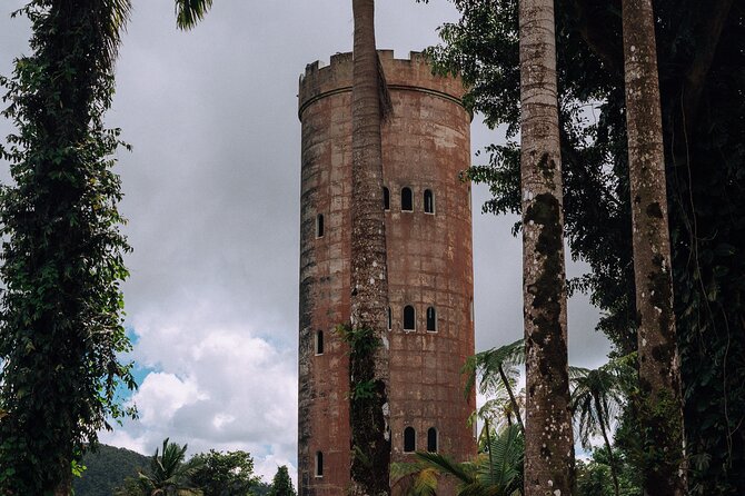 El Yunque Rainforest Half-Day Trip From San Juan