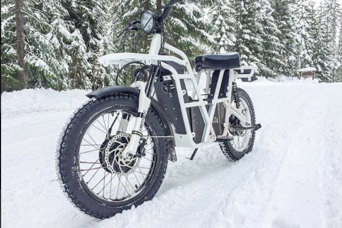 Electric Dirtbike Adventure in Lake Tahoe - Admission and Age Restrictions