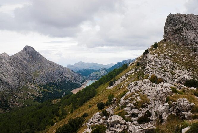 Electric Mountain Bike in Mallorca