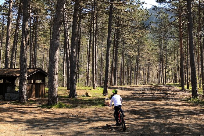 Electric Mountain Bike Rental in Bobbio - Good To Know