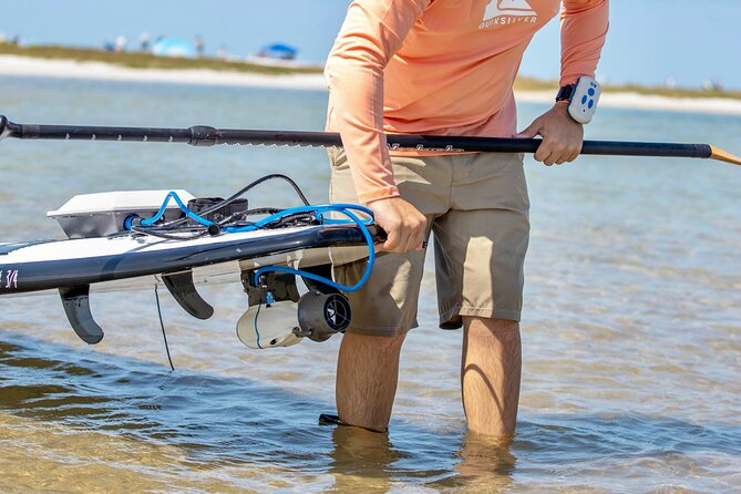 Electric Paddle Board Dolphin Watching Tour of Shell Key Preserve - Good To Know