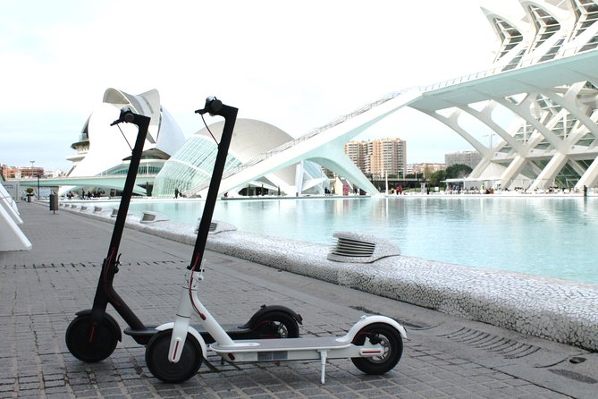 Electric Scooter Rental - Good To Know