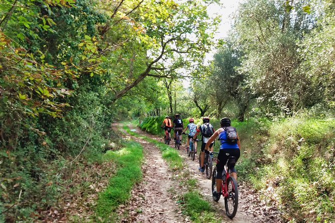 Eleftherna E-Bike and MTB Tour - Experience The Authentic Crete - Good To Know