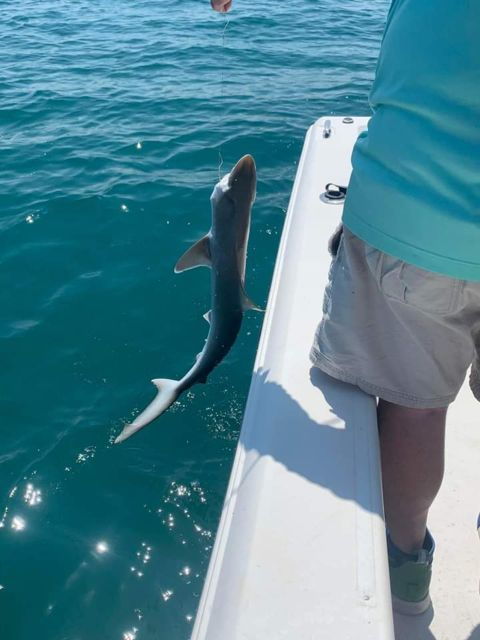 Embark on a Thrilling Adventure With Skyway Fishing Tours