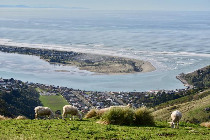 English Guide] Christchurch Scenic Tour (1 Day Tour)
