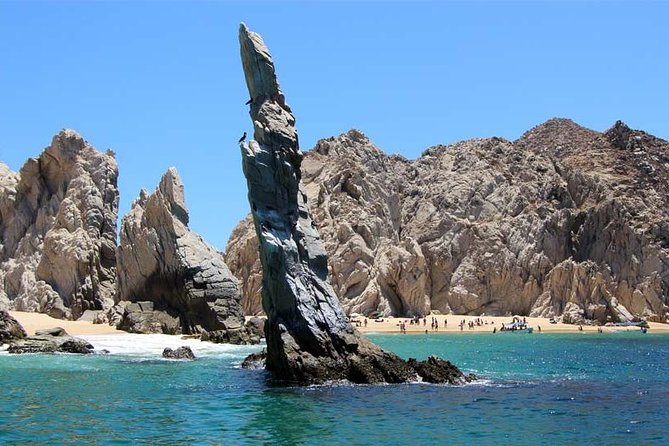 Enjoy Cabo San Lucas City Tour and Amazing Sea Adventure to Lands End!