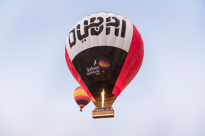 Enjoy Dubai Beautiful Desert Hot Air Ballon&Falcon Show and Camel - Good To Know