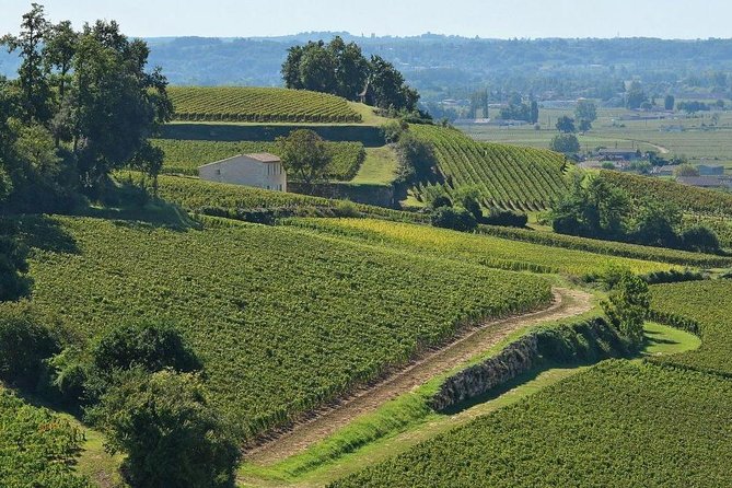 Enjoy Saint-Emilion With a Wine Tasting in 5 Hours. Keep Cool and Discover