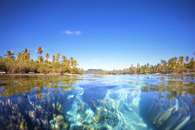 Enjoy Snorkeling With Our Multicolors Fishes in TAHAA FAMOUS CORAL GARDEN - Discover the Vibrant Coral Garden