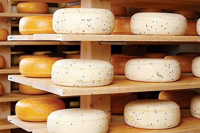 Ensenada Shore Excursion: Wine and Cheese Tour With Lunch in Ojos Negros Valley - Good To Know